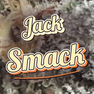 Jack Smack Cannabis Strain