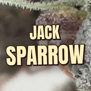 Jack Sparrow Cannabis Strain