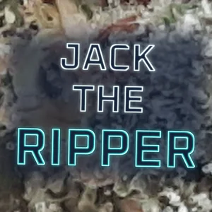 Jack the Ripper Cannabis Strain