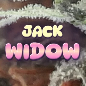 Jack Widow Cannabis Strain