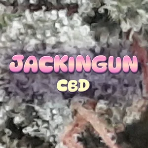JacKinGun CBD Cannabis Strain