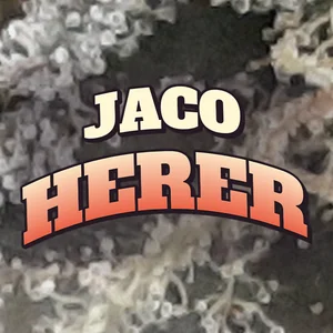 Jaco Herer Cannabis Strain