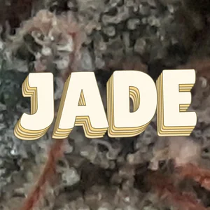 Jade Cannabis Strain