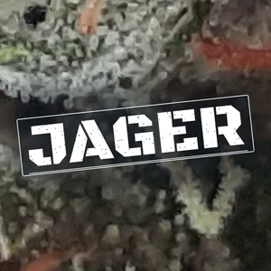 Jager Cannabis Strain