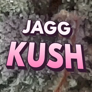 Jagg Kush Cannabis Strain