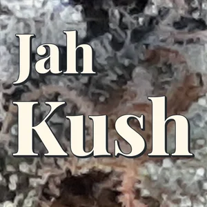Jah Kush Cannabis Strain