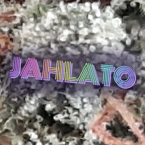 Jahlato Cannabis Strain