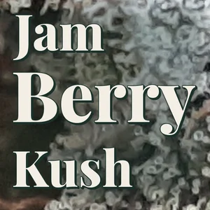 Jam Berry Kush Cannabis Strain