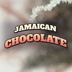 Jamaican Chocolate Cannabis Strain