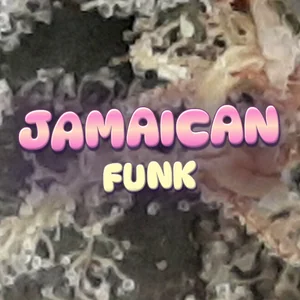 Jamaican Funk Cannabis Strain