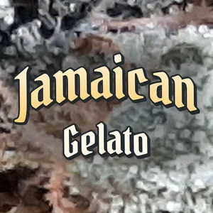 Jamaican Gelato Cannabis Strain