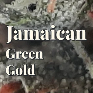 Jamaican Green Gold Cannabis Strain