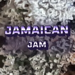 Jamaican Jam Cannabis Strain