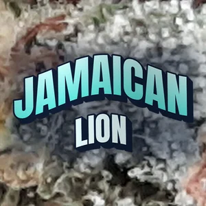 Jamaican Lion Cannabis Strain
