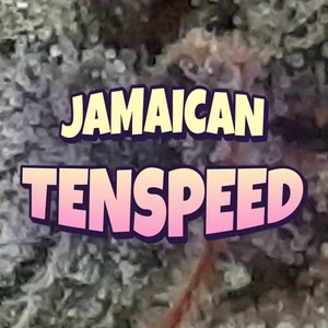Jamaican Tenspeed Cannabis Strain