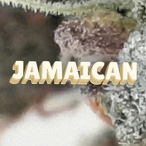 Jamaican Cannabis Strain