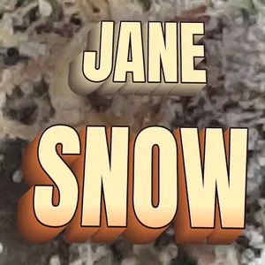 Jane Snow Cannabis Strain