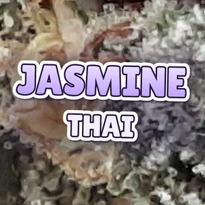 Jasmine Thai Cannabis Strain