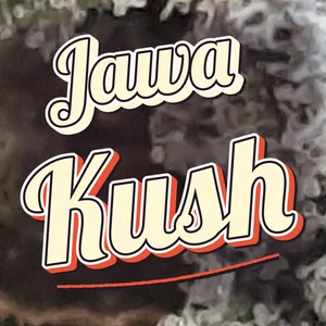 Jawa Kush Cannabis Strain