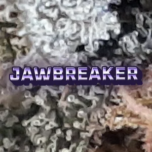 Jawbreaker Cannabis Strain