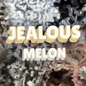 Jealous Melon Cannabis Strain