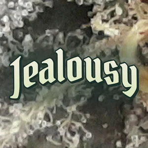 Jealousy Cannabis Strain