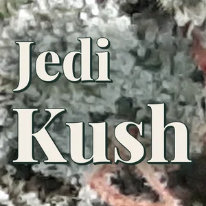 Jedi Kush Cannabis Strain