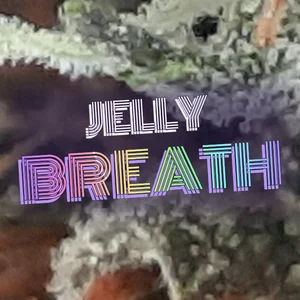 Jelly Breath Cannabis Strain