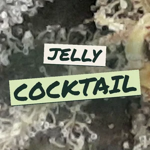 Jelly Cocktail Cannabis Strain