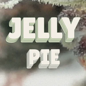 Jelly Pie Cannabis Strain