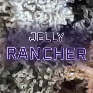 Jelly Rancher Cannabis Strain