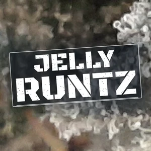 Jelly Runtz Cannabis Strain