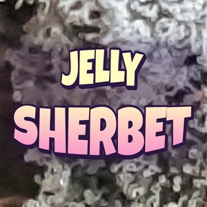 Jelly Sherbet Cannabis Strain