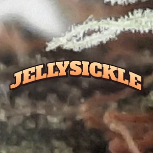 Jellysickle Cannabis Strain