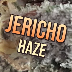 Jericho Haze Cannabis Strain