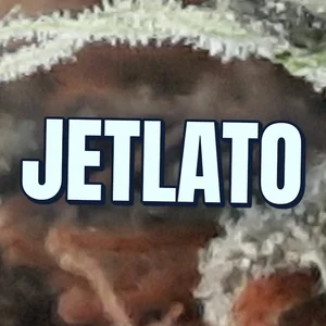 Jetlato Cannabis Strain