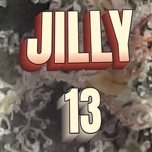 Jilly 13 Cannabis Strain