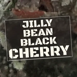 Jilly Bean Black Cherry Cannabis Strain