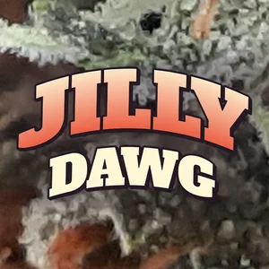 Jilly Dawg Cannabis Strain