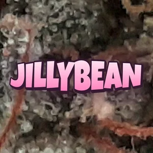 Jillybean Cannabis Strain