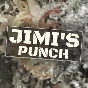 Jimi's Punch Cannabis Strain