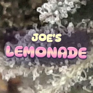 Joe's Lemonade Cannabis Strain