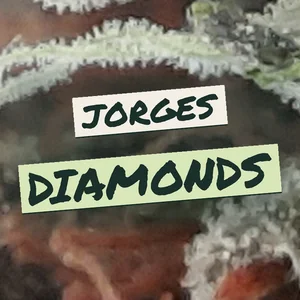 Jorges Diamonds Cannabis Strain
