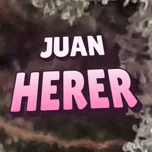 Juan Herer Cannabis Strain