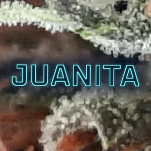 Juanita Cannabis Strain