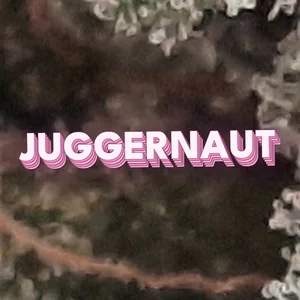 Juggernaut Cannabis Strain
