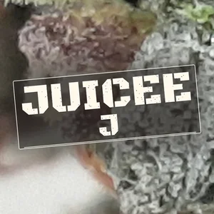 Juicee J Cannabis Strain