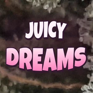 Juicy Dreams Cannabis Strain