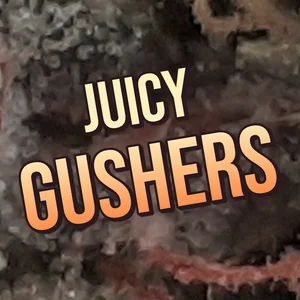 Juicy Gushers Cannabis Strain