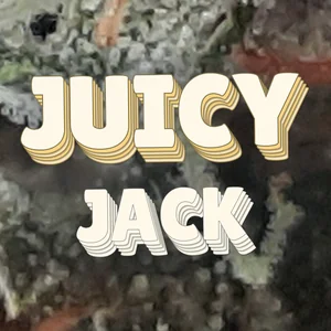Juicy Jack Cannabis Strain
